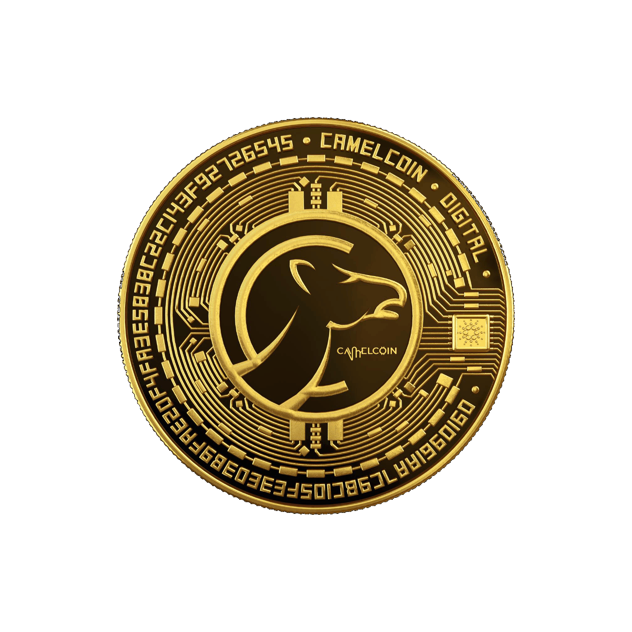 Camelcoin